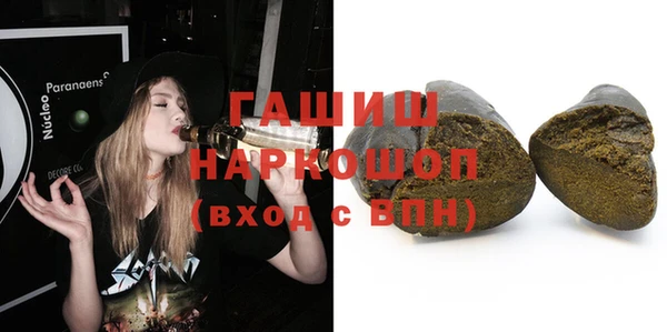 гидра Богородск