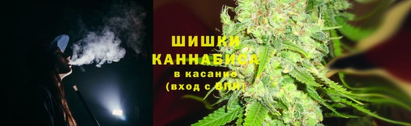 гашиш Богданович