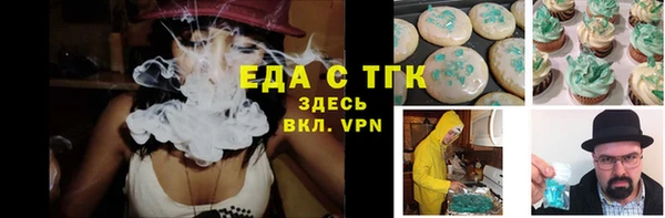 гидра Богородск