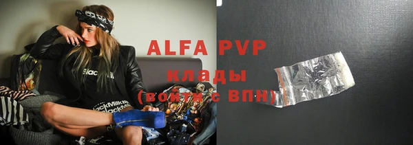 гидра Богородск