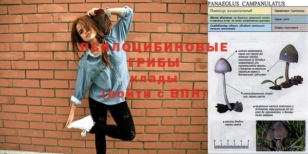 дистиллят марихуана Богородицк