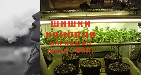 гашиш Богданович
