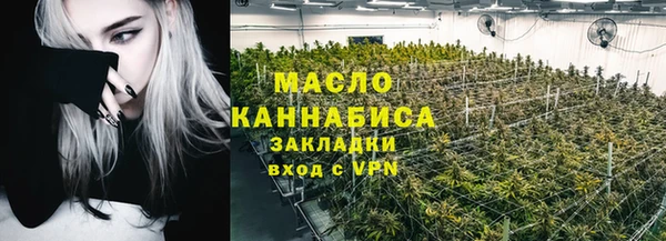 гидра Богородск