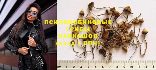 наркотики Бородино