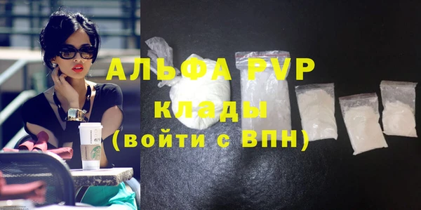 гидра Богородск