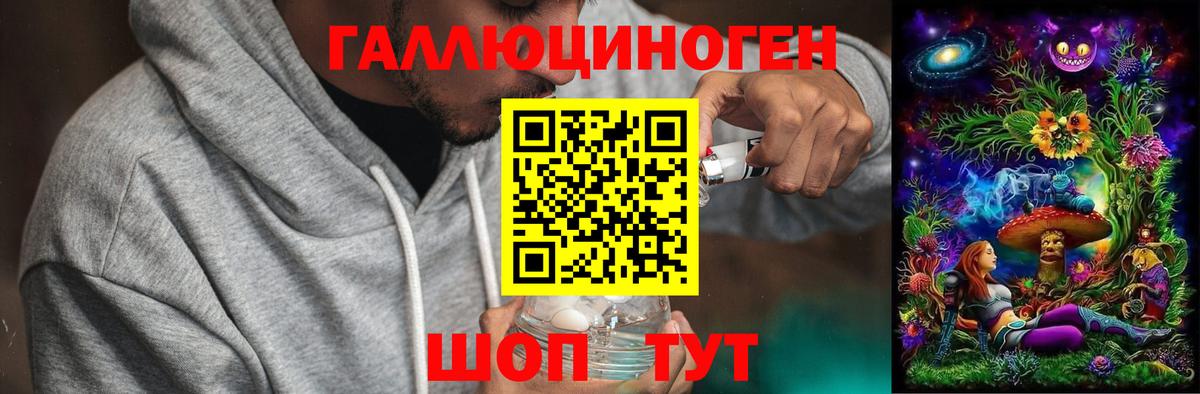 Псилоцибиновые грибы Psilocybine cubensis  Вход с VPN  Кузнецк 