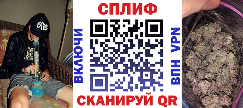 Бошки Шишки планчик Кузнецк